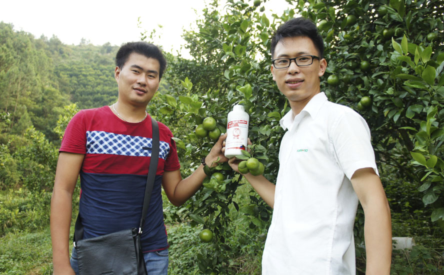 廣東微果露 (1).jpg