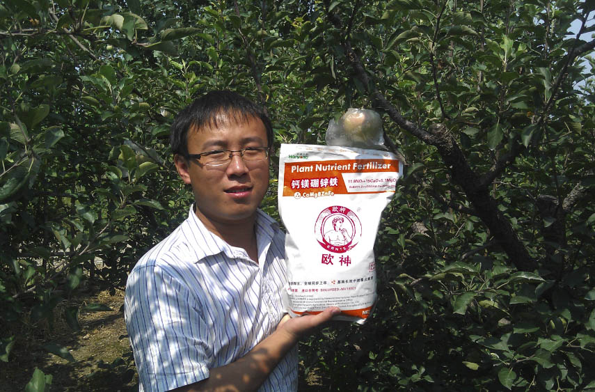 山東蘋果 (1).jpg