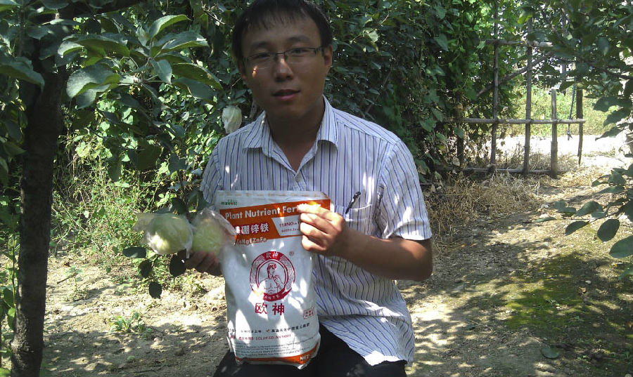 山東蘋果 (2).jpg