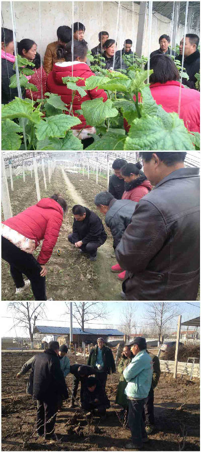 現場種植 部分圖片.jpg